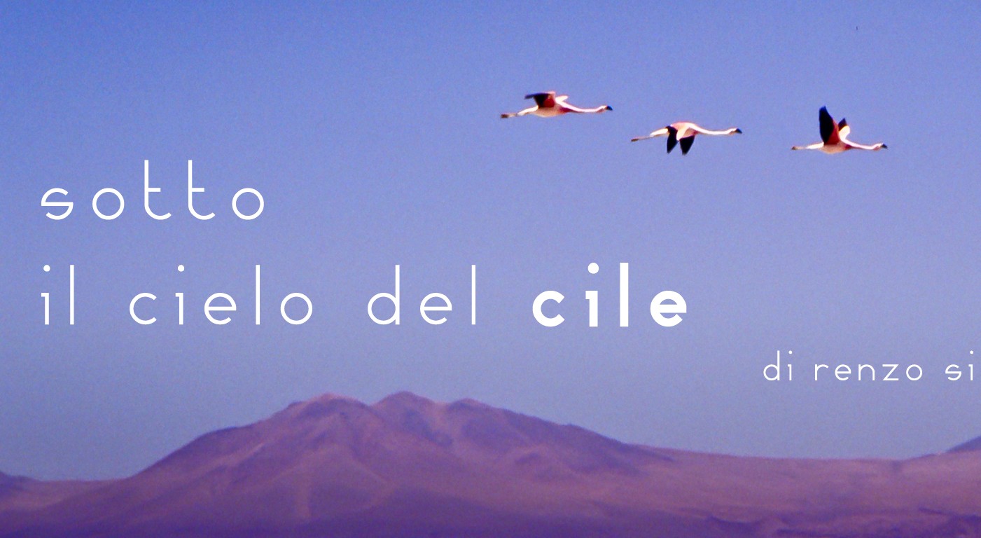 immagine copertina