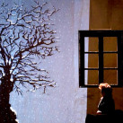 Albero di Anna-SQUARE