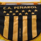 Penarol slide