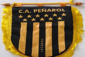 Penarol slide