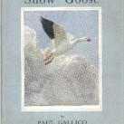 snowgoose_illus