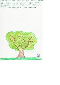 alberi25