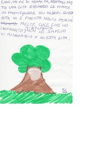 alberi26